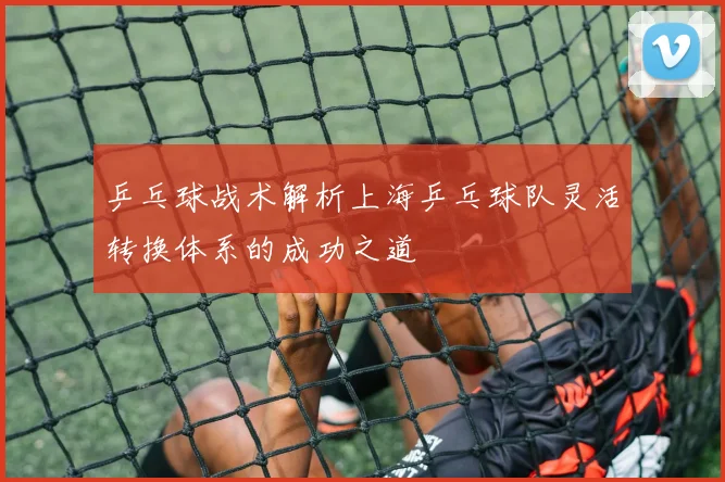 乒乓球战术解析上海乒乓球队灵活转换体系的成功之道
