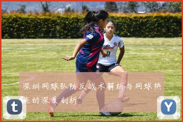 深圳网球队防反战术解析与网球热点的深度剖析