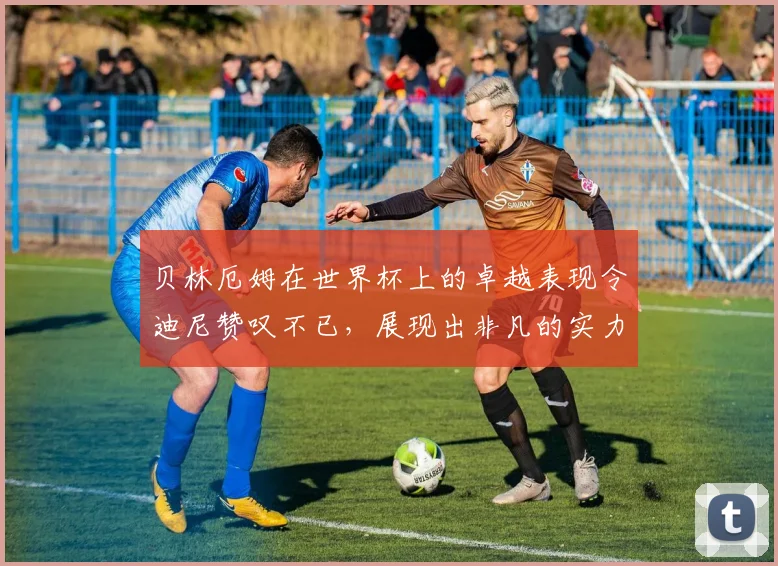 贝林厄姆在世界杯上的卓越表现令迪尼赞叹不已，展现出非凡的实力与魅力
